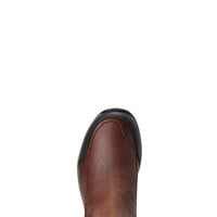 Ariat WOMAN Terrain Blaze Waterproof Jodhpur