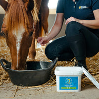 Biofarmab Rehalyt Basic