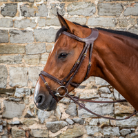 Dyon DY Difference träns komb.nosgrimma