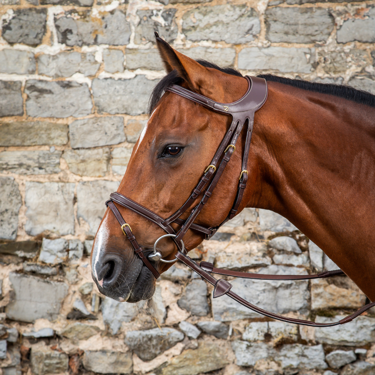 Dyon DY Difference träns komb.nosgrimma