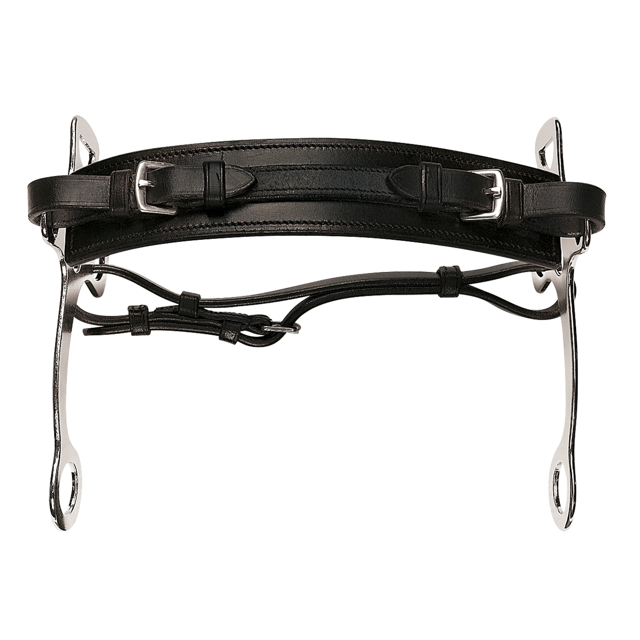 Lippo Hackamore läder