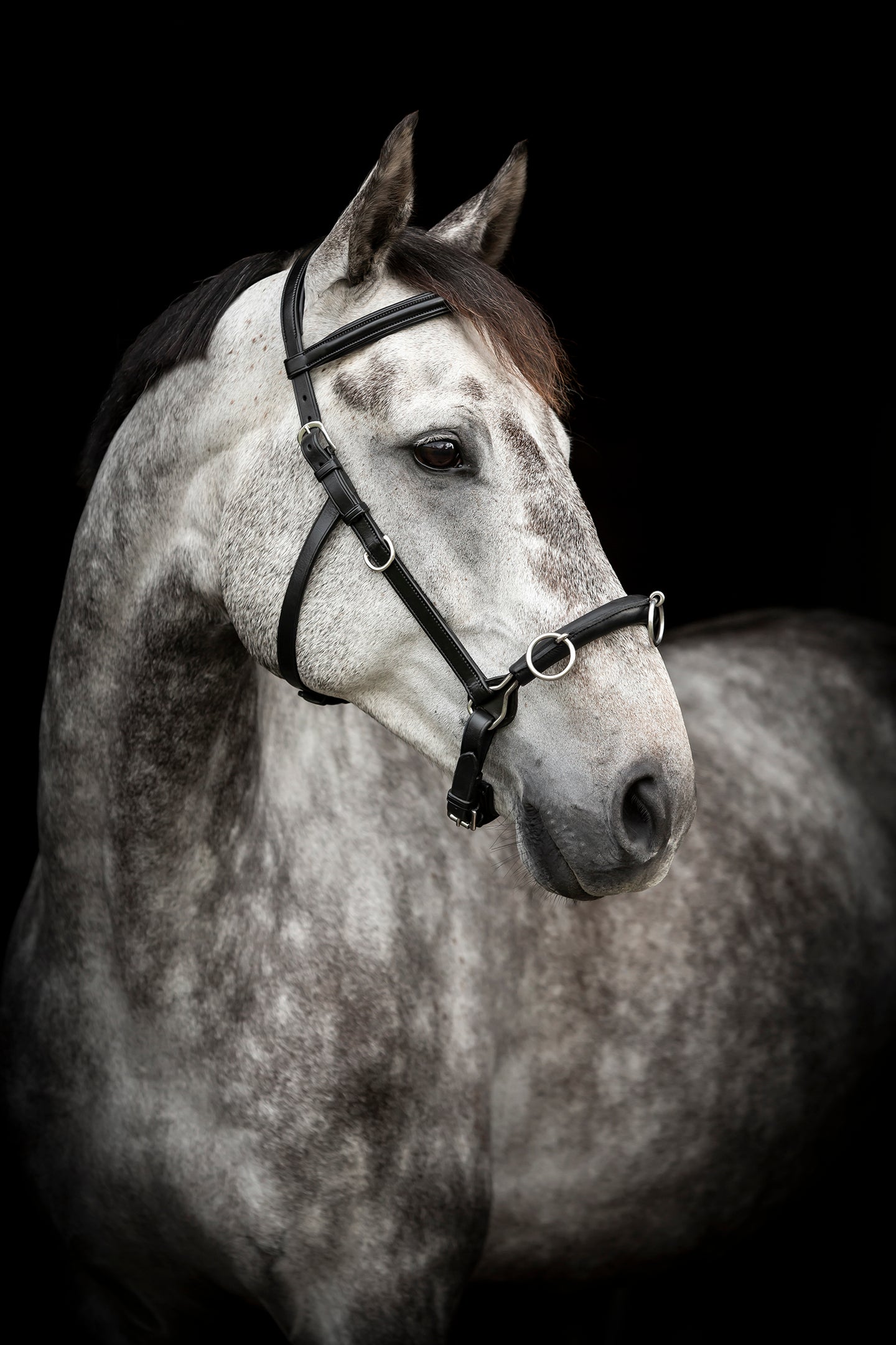 Lippo Supreme Kapson rundsydd