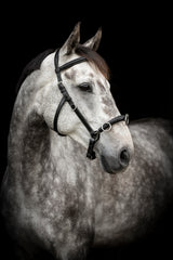 Lippo Supreme Kapson rundsydd