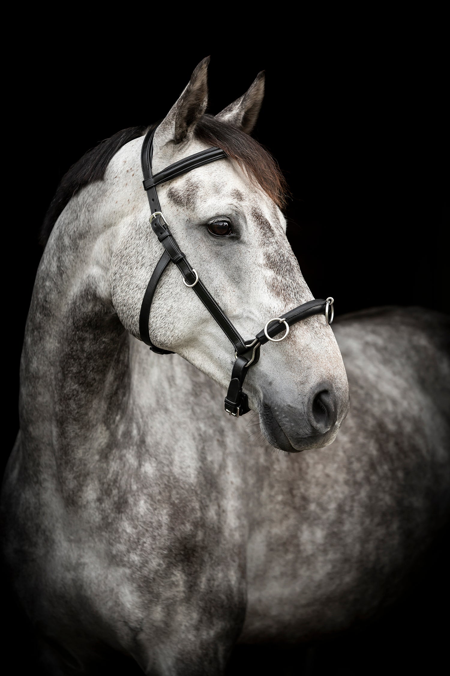 Lippo Supreme Kapson rundsydd