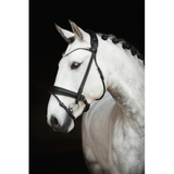 Lippo Supreme Träns Caselle