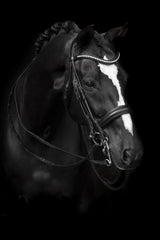 Lippo Delicato Kandar