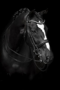 Lippo Delicato Kandar