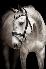 Lippo Integro grande träns