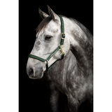 Protector grimma Derry