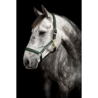 Protector grimma Derry