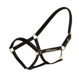 Protector grimma Derry