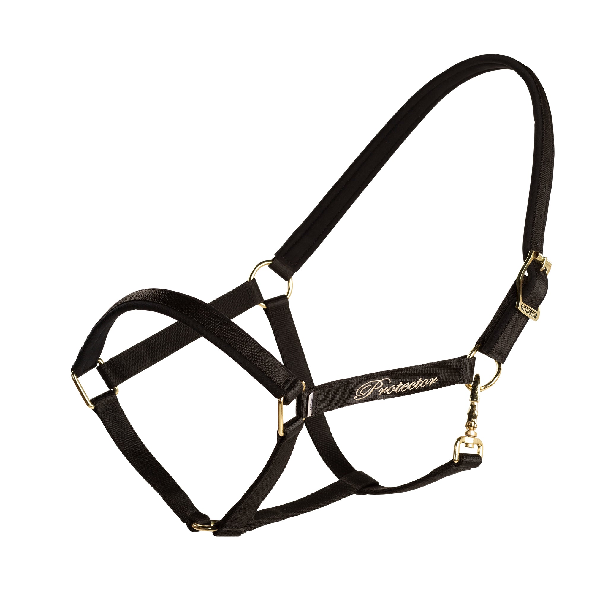 Protector grimma Derry