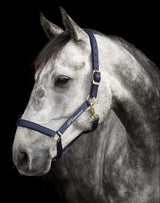 Protector grimma Derry