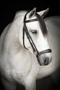 Lippo Supreme Remont träns