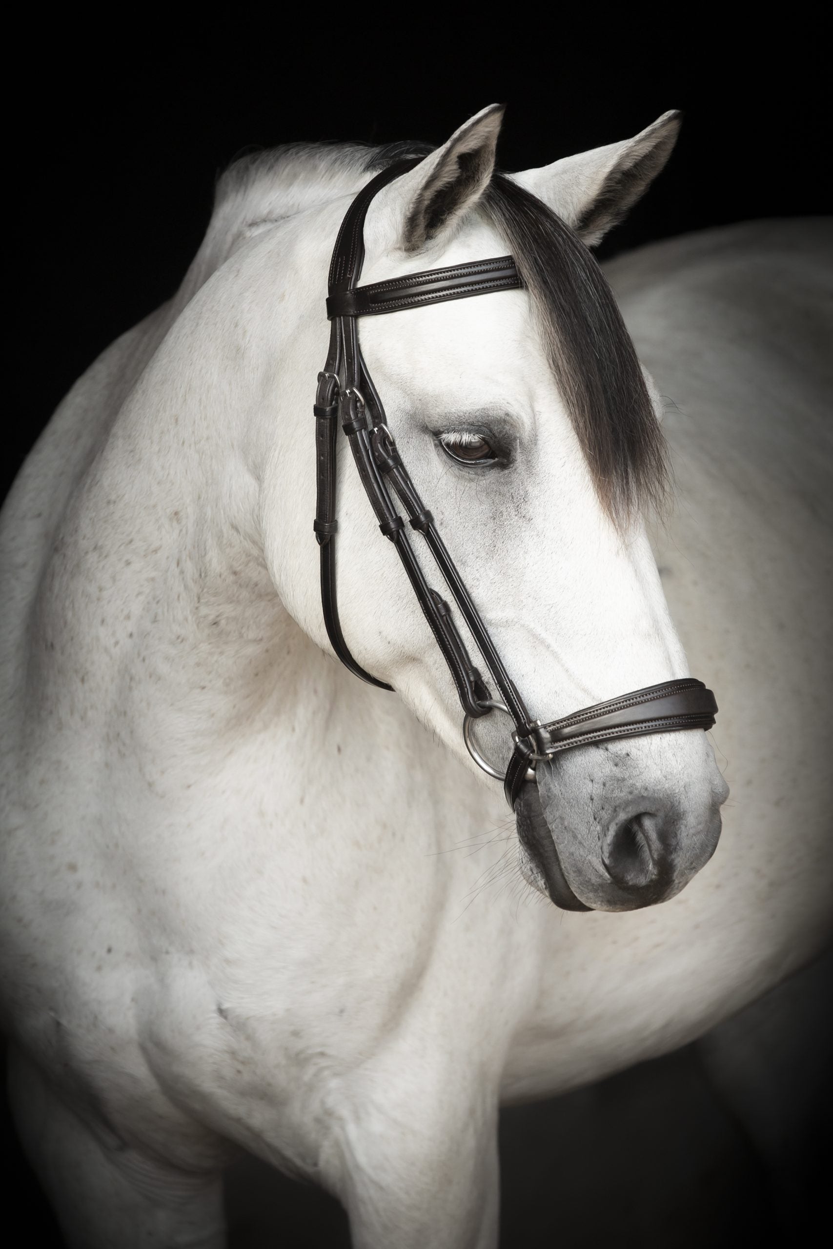 Lippo Supreme Remont träns