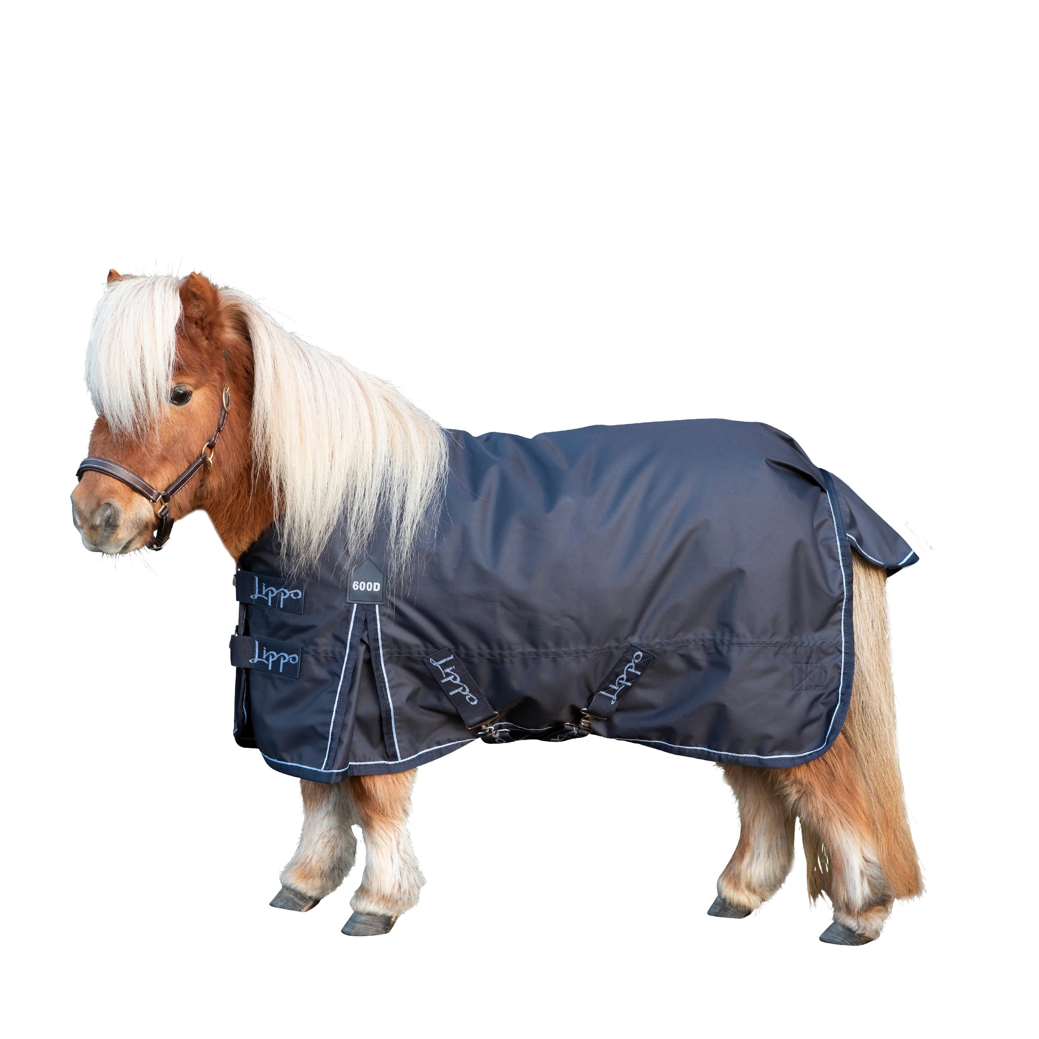 Lippo Basic regntäcke Pony 0gr