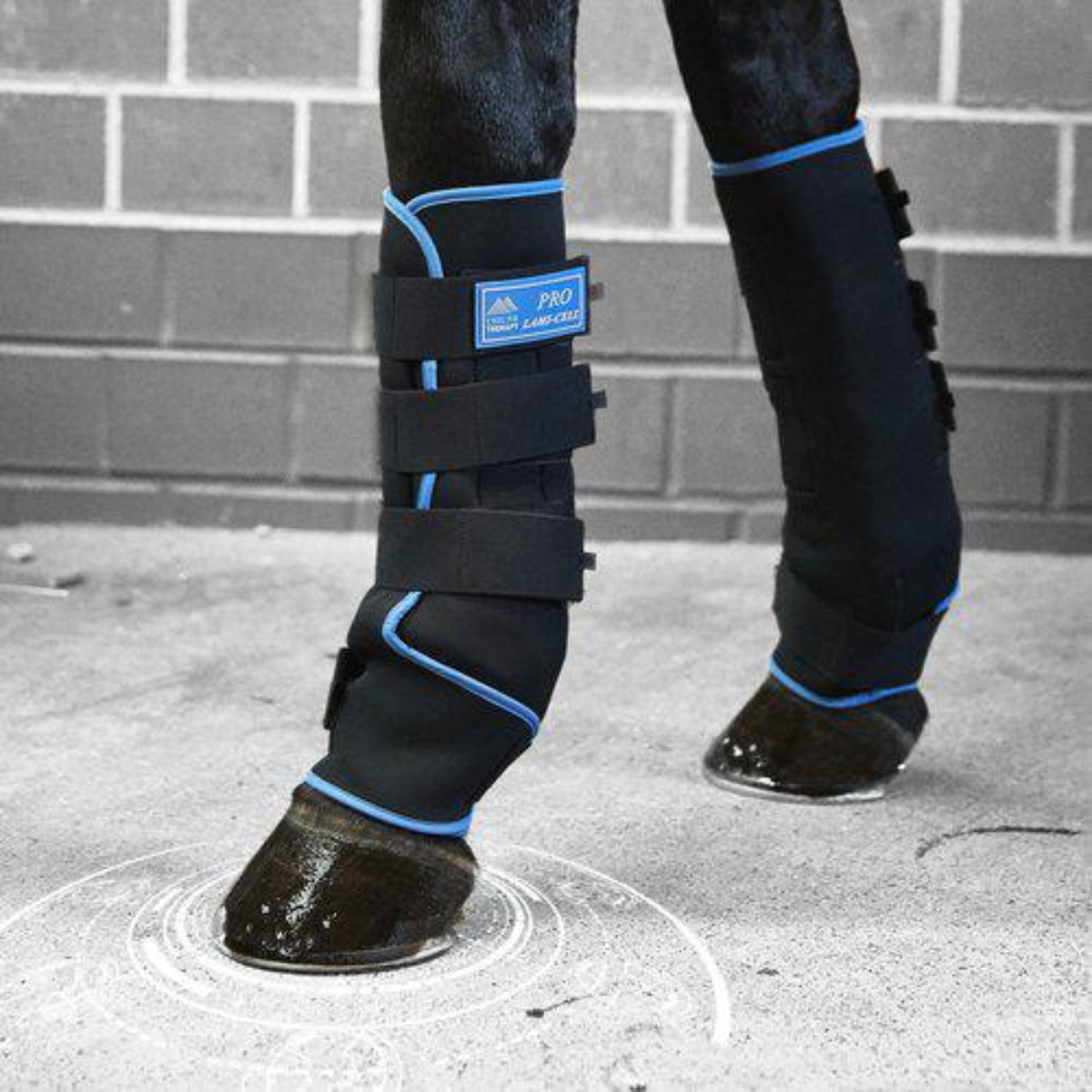 Lami-Cell Kylbandage Boots Pro