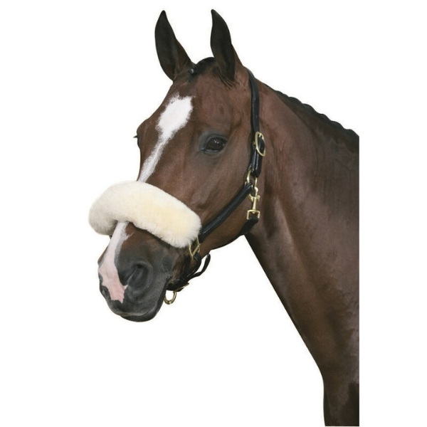 Horse Guard Medilamb Nosludd