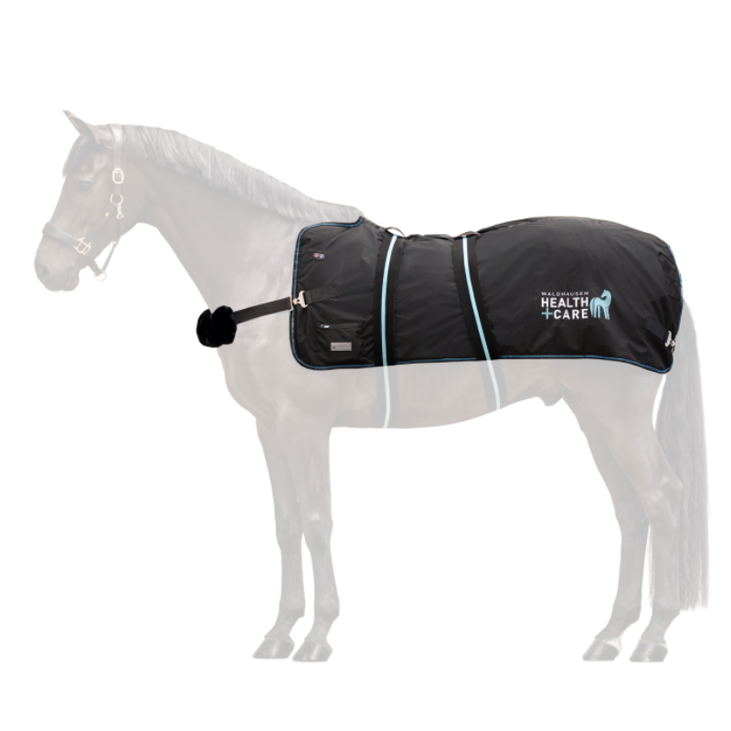 Waldhausen Health + Care TecSupreme heating and massage rug