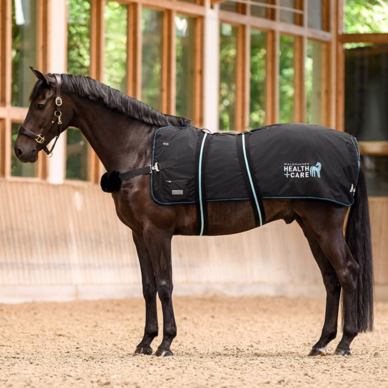 Waldhausen Health + Care TecSupreme heating and massage rug