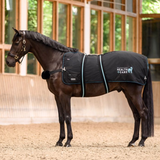 Waldhausen Health + Care TecSupreme heating and massage rug