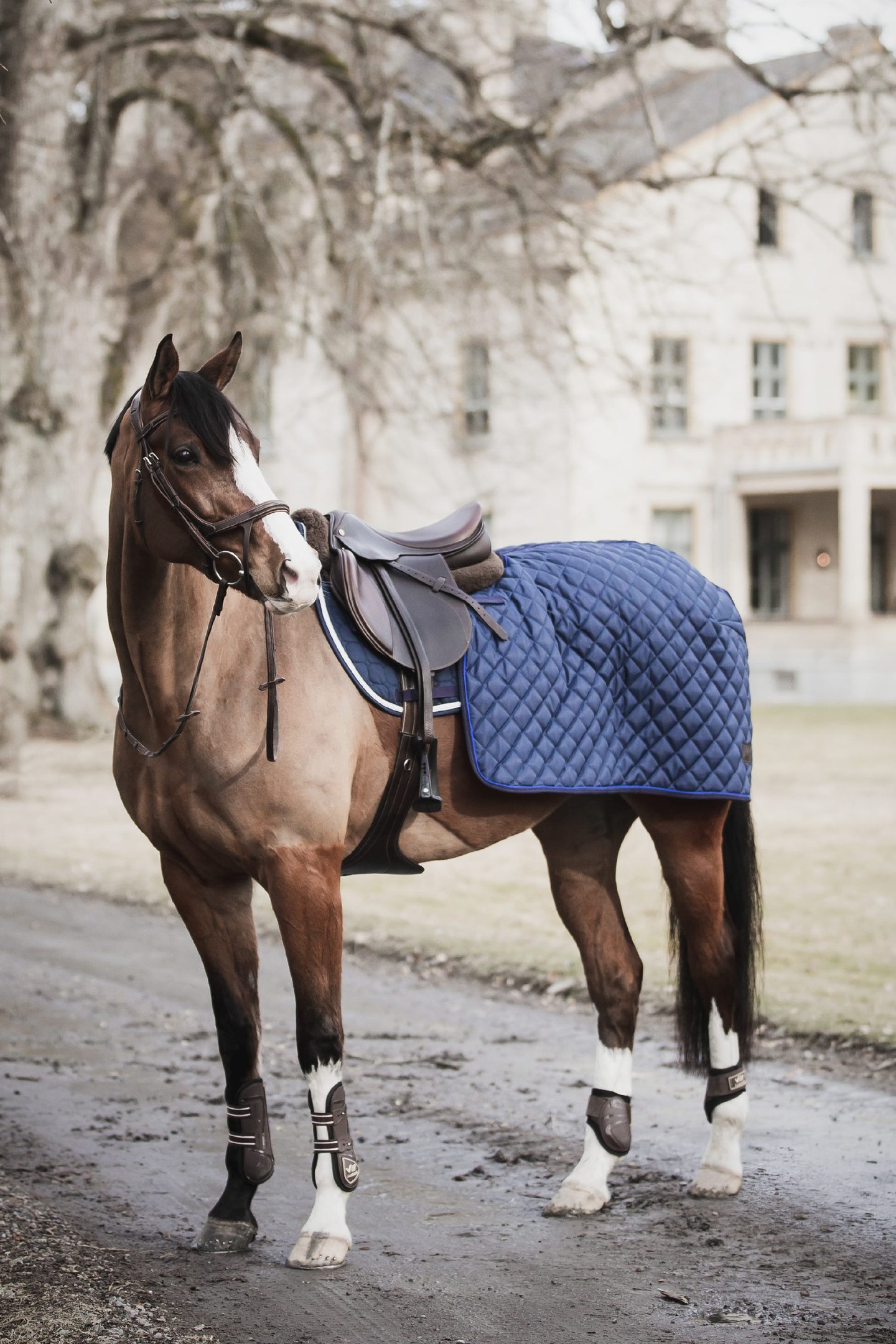 Lippo Quarter rug 200 gr