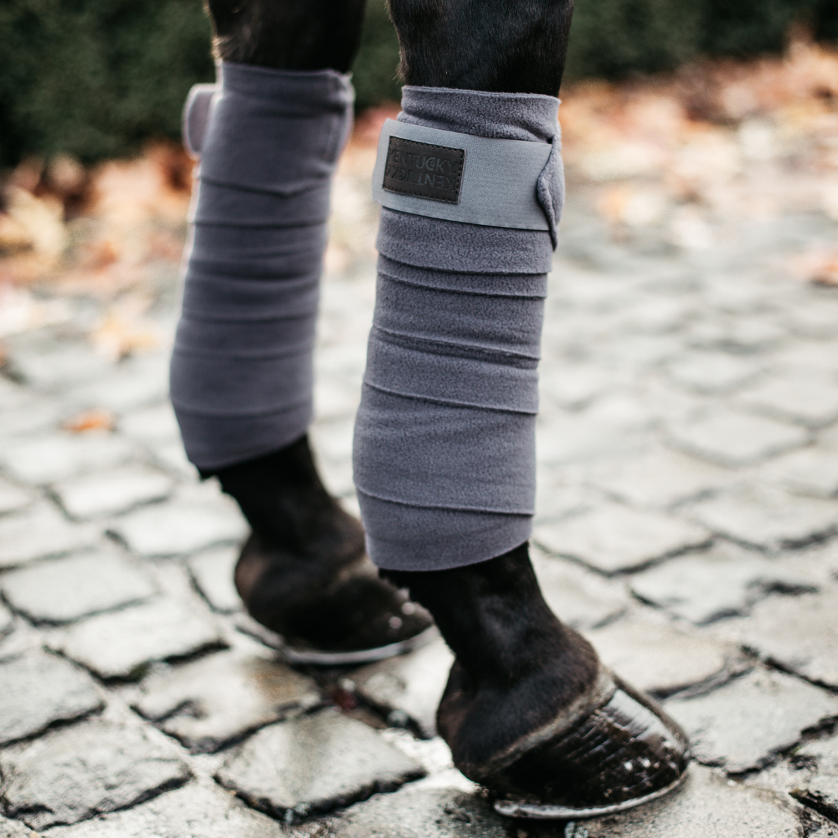 Kentucky Polar Fleece bandage