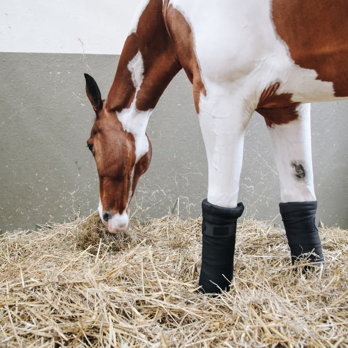 Kentucky Repellent Stable Bandages