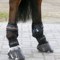 Kentucky Karledsskydd