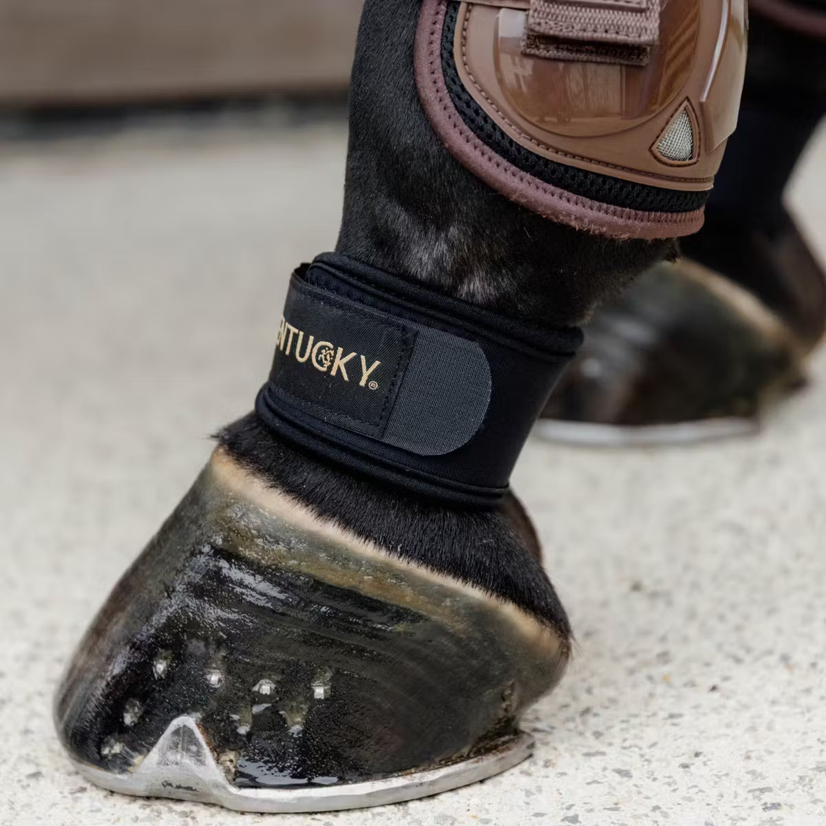 Kentucky Knee Protector