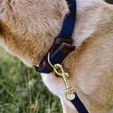 Kentucky Dog Collar Plaited Nylon