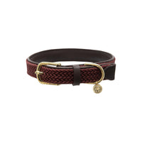 Kentucky Hundhalsband Plaited Nylon