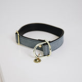 Kentucky Hundhalsband 'Loop'