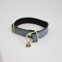 Kentucky Hundhalsband 'Loop'