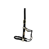 Kentucky Control Halter Nylon
