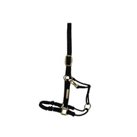 Kentucky Control Halter Nylon
