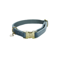 Kentucky Hundhalsband Velvet