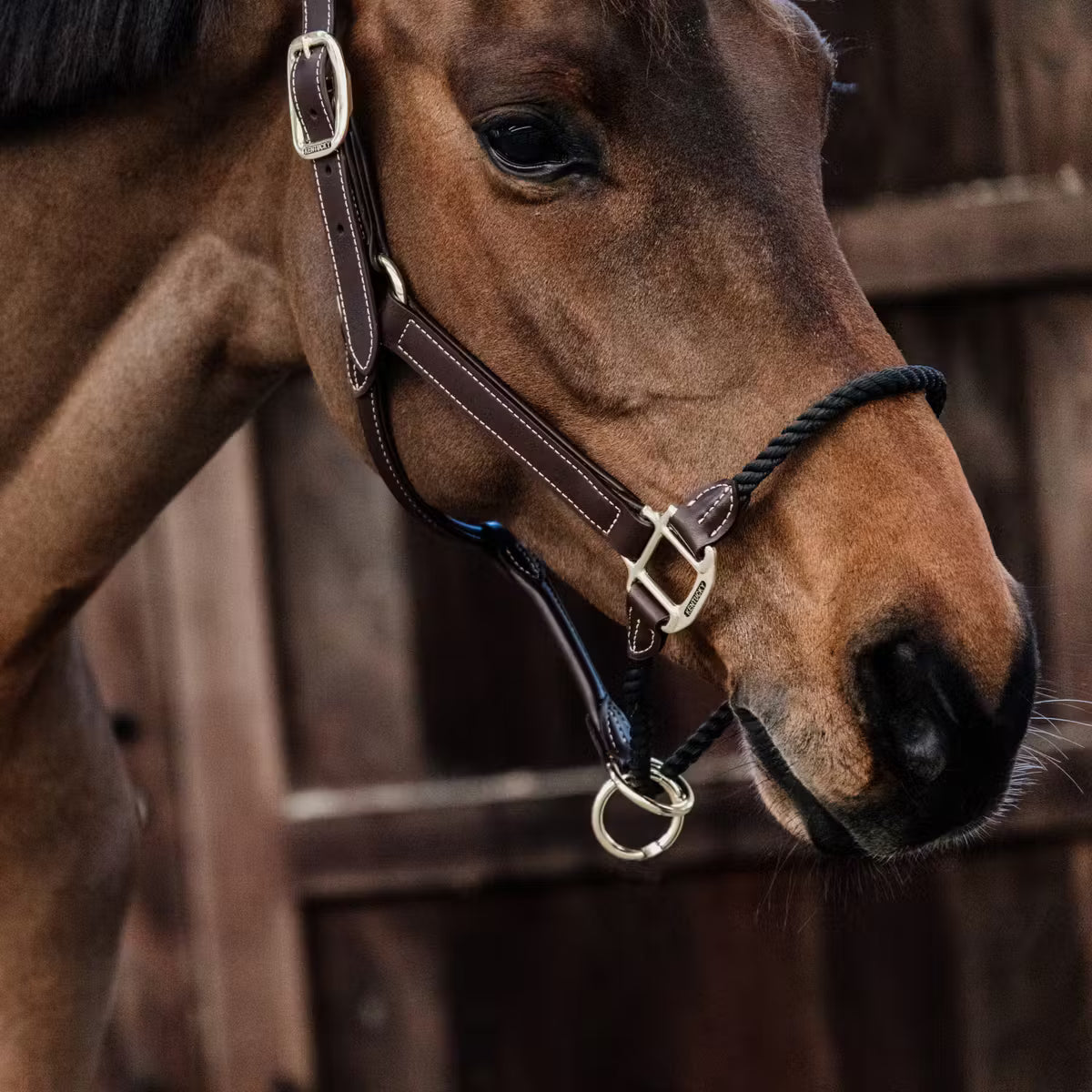 Kentucky Leather rope halter
