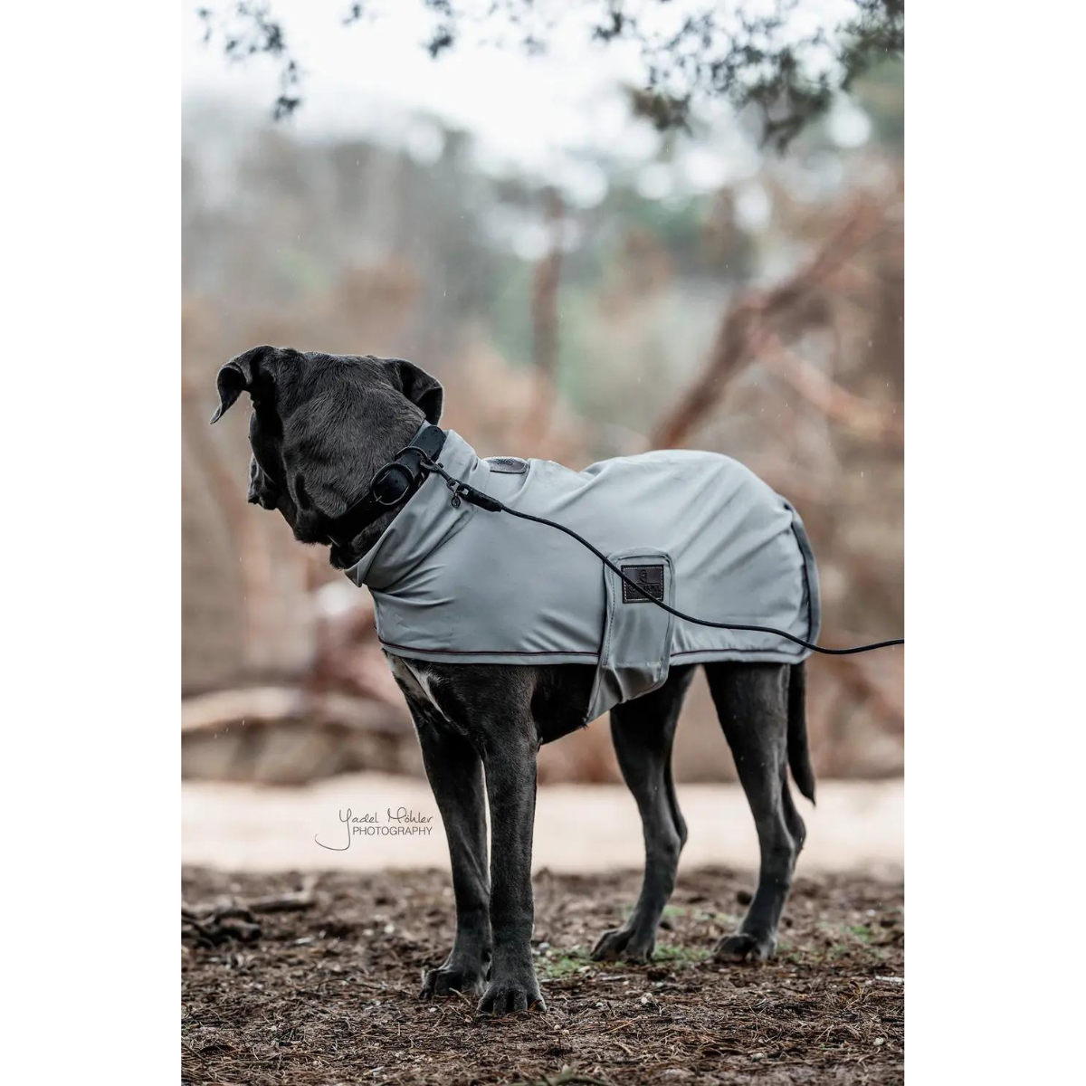 Kentucky Hundhalsband i mjukt gummi