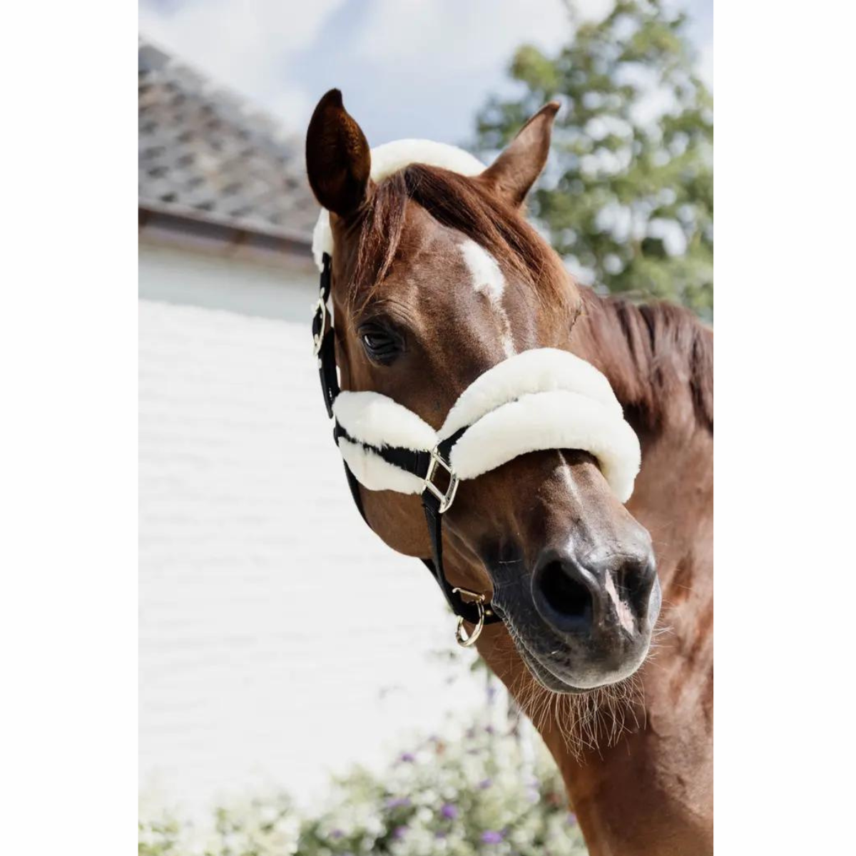 Kentucky Nylon Sheepskin Halter Soft