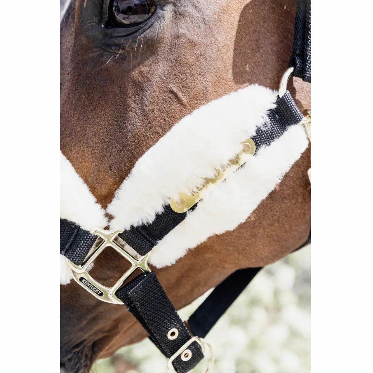 Kentucky Nylon Sheepskin Halter Soft