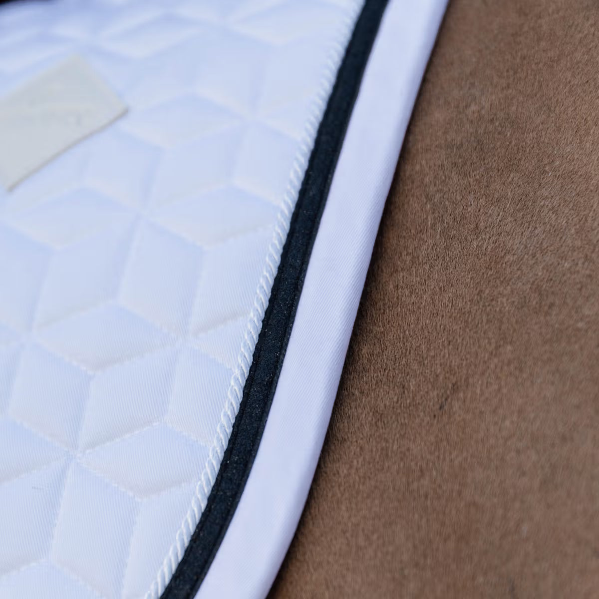 Kentucky Saddle Pad Glitter Rope Jump