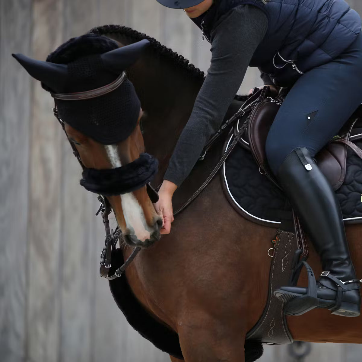 Kentucky Förbygel & Tygelludd