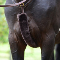 Kentucky Förbygel & Tygelludd