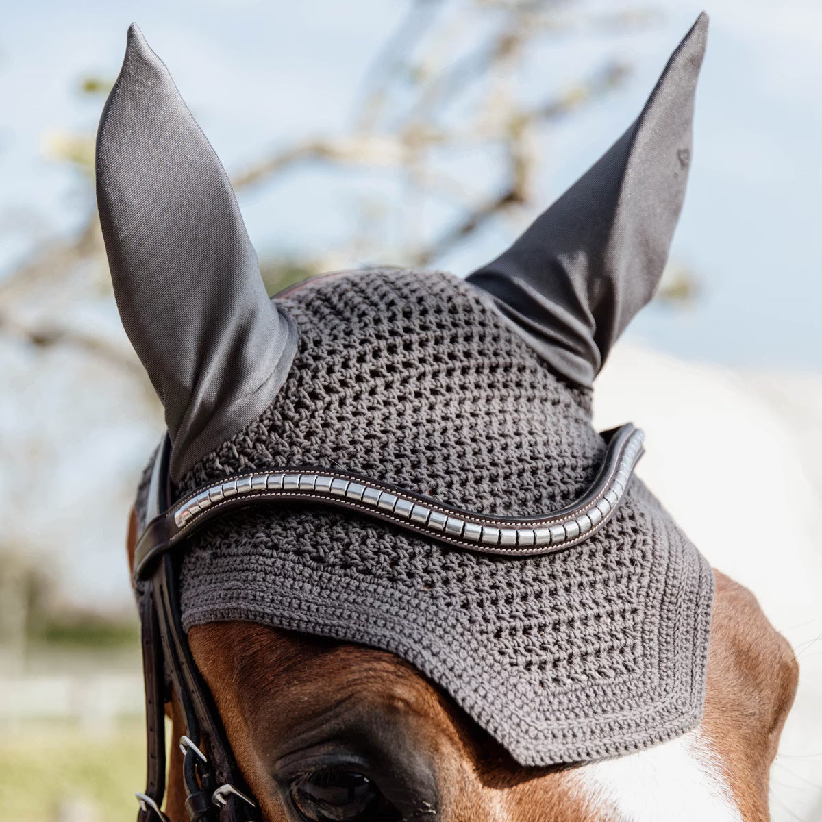 Kentucky Fly veil Wellington