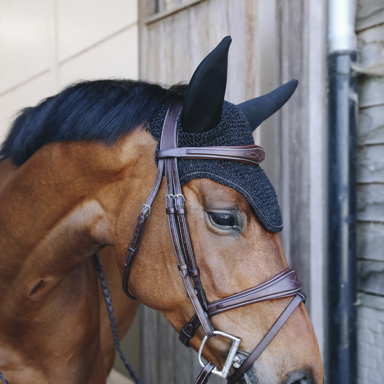 Kentucky Fly veil Wellington sparkling Soundless