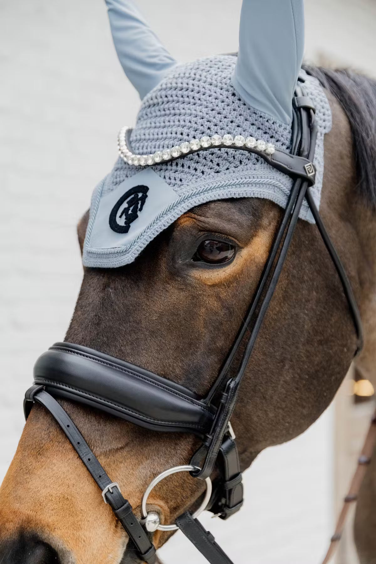 Kentucky Fly Veil Wellington 3D Logo