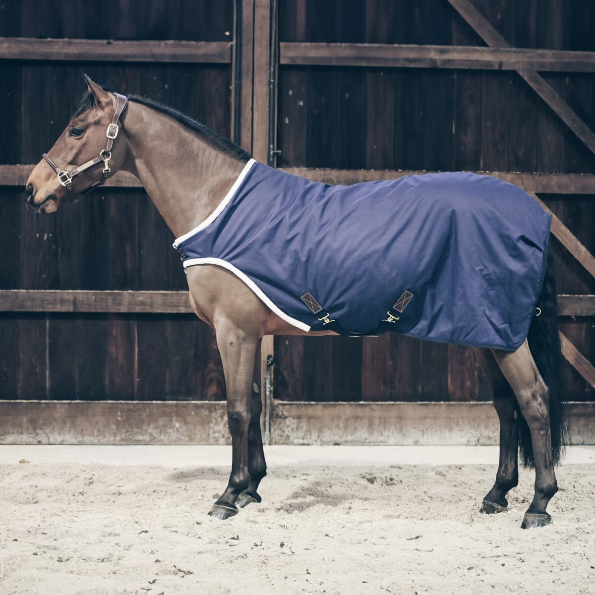 Kentucky Walker rug waterproof 160g