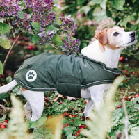 Kentucky Dog blanket waterproof 300g