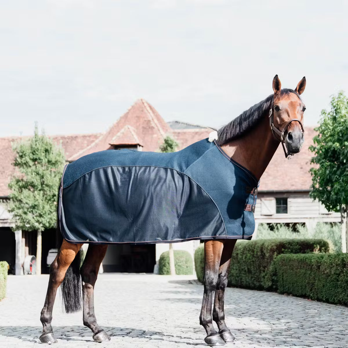 Kentucky Mesh combo cooler sheet